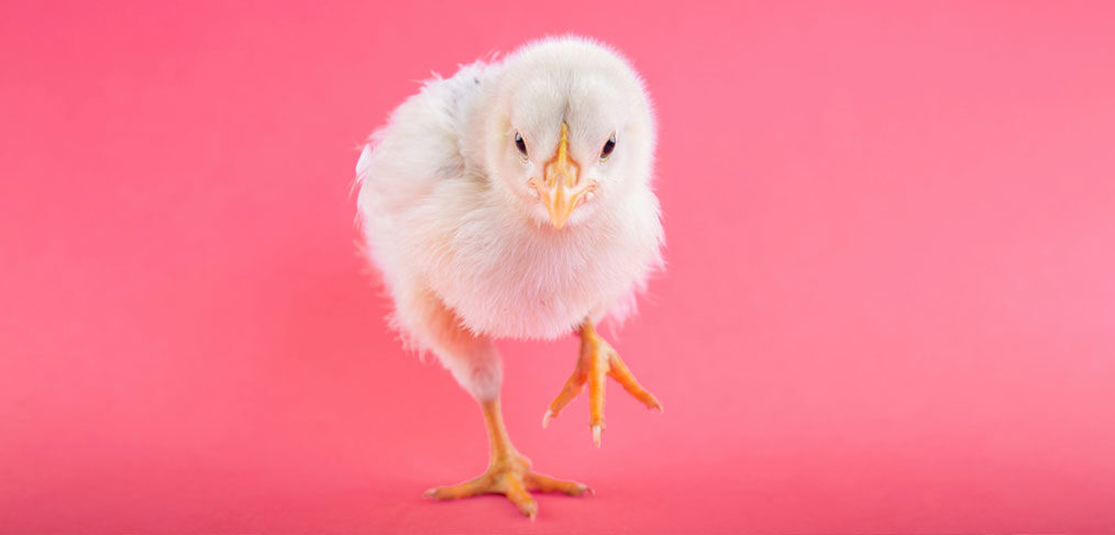 Hårvård på Salong Rocio, Hår klippning, färg och permanent i Stockholm, Bromma